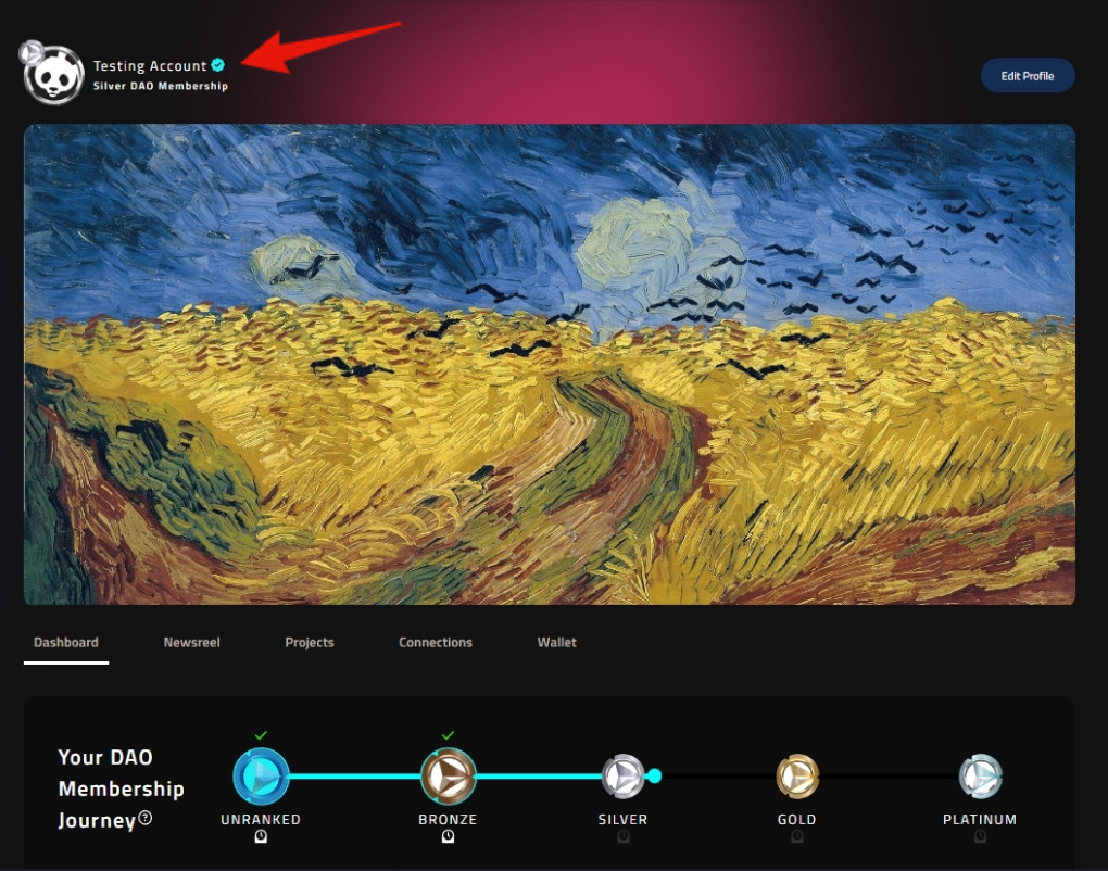 Your Profile Dashboard